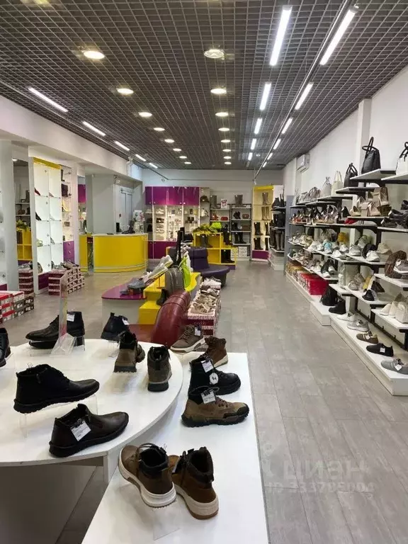 Помещение свободного назначения в Тюменская область, Тюмень ул. ... - Фото 1