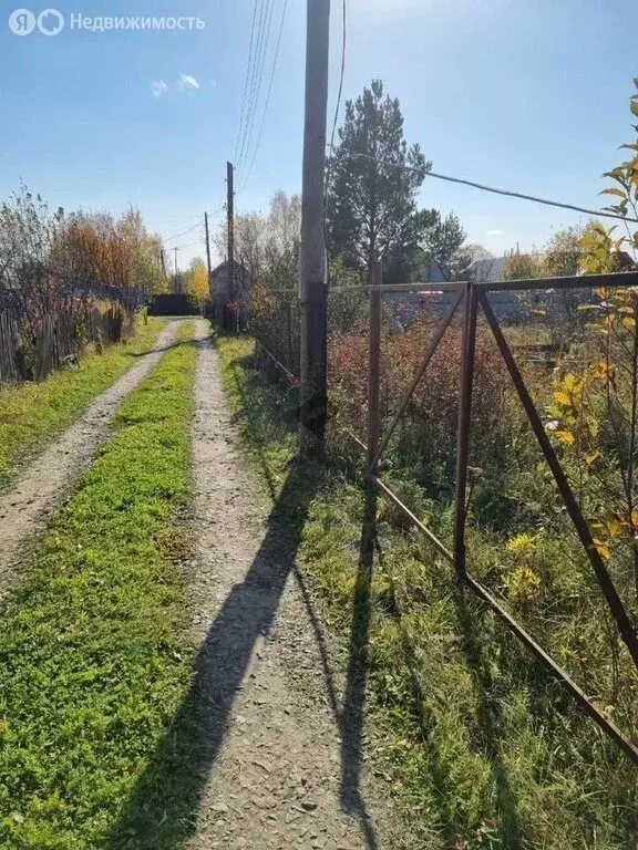 Участок в Тюменский район, СНТ Нива, Урожайная улица, 351 (7 м) - Фото 0
