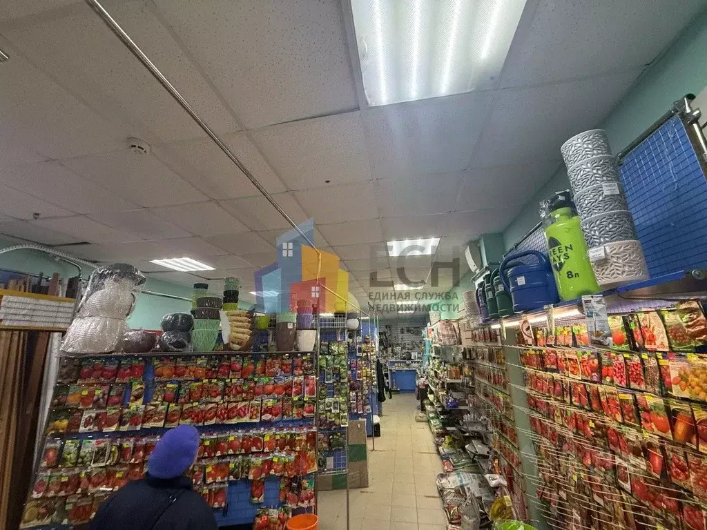 Торговая площадь в Тульская область, Тула ул. Вильямса, 32 (149 м) - Фото 1