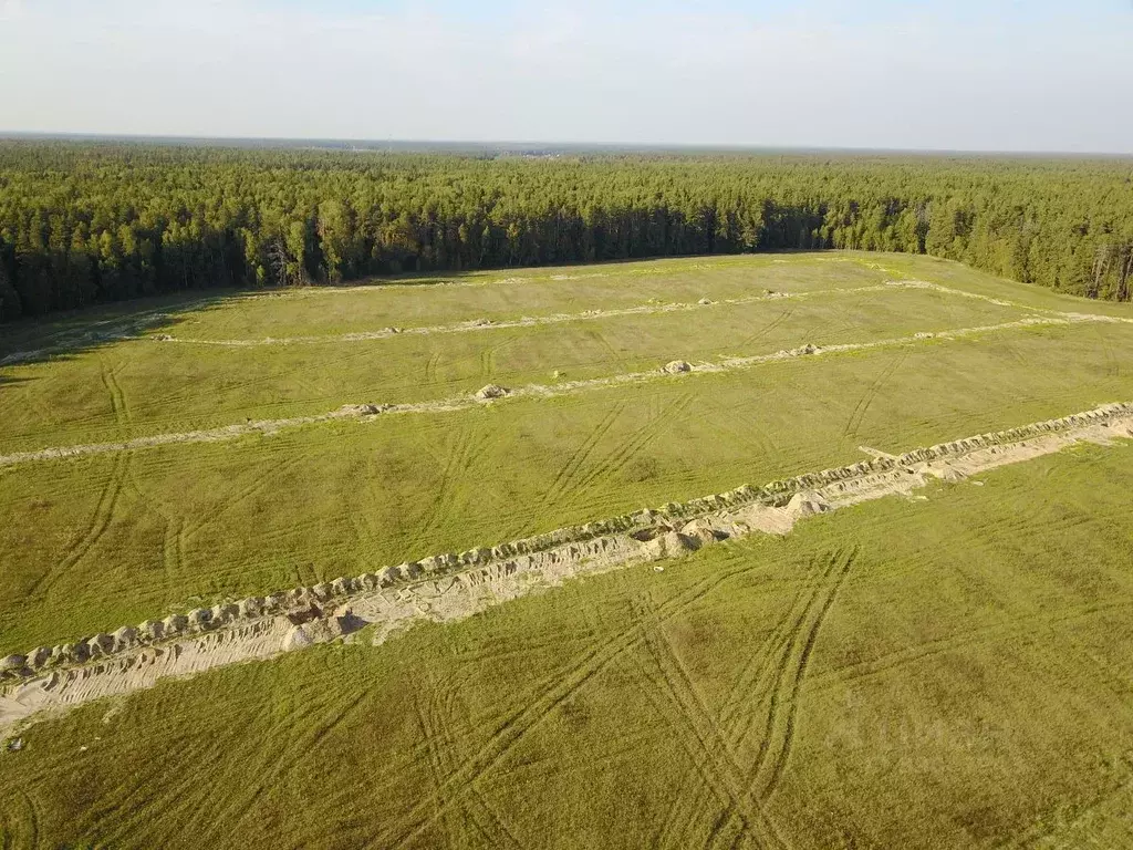 Участки Под Ногинском Купить