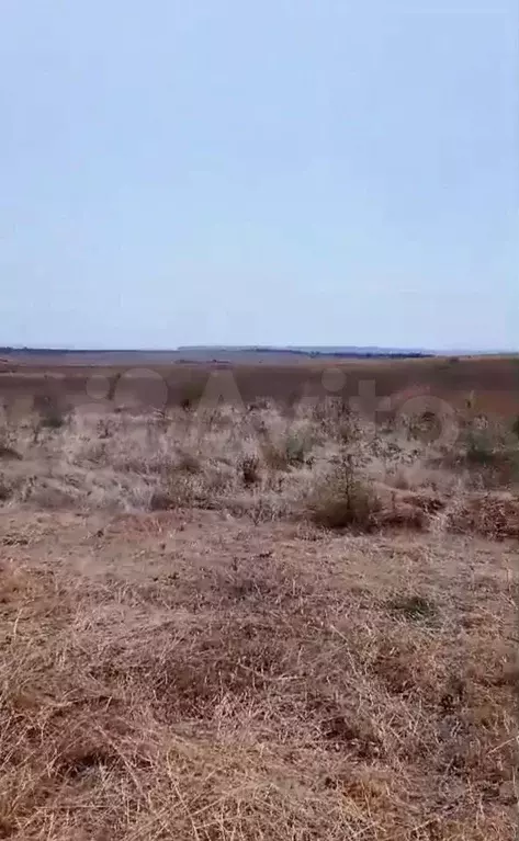 Участок 6 сот. (СНТ, ДНП) - Фото 1