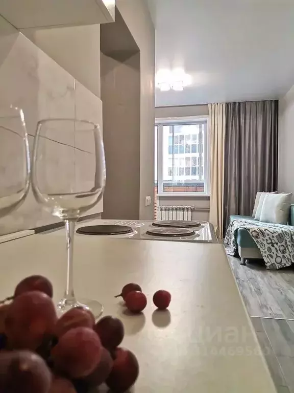 Студия Новосибирская область, Новосибирск ул. Михаила Кулагина, 29/1 ... - Фото 0