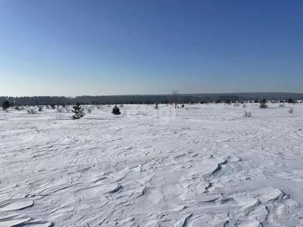 Участок в Челябинская область, Сосновский район, Солнечное с/пос, пос. ... - Фото 0