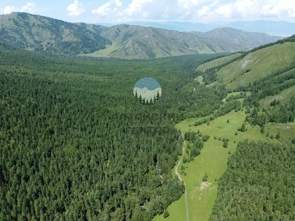 Участок в Алтай, Усть-Коксинский район, с. Тихонькая Центральная ул., ... - Фото 0