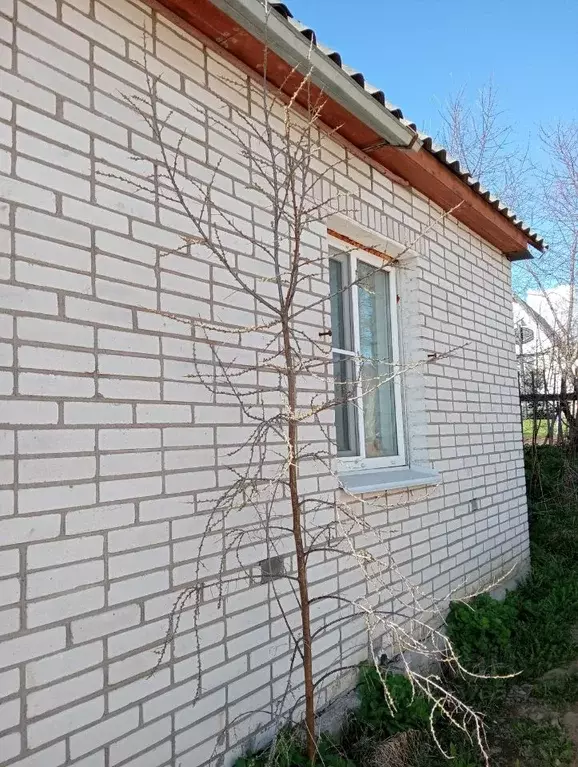 Дом в Ленинградская область, Всеволожский район, Колтушское городское ... - Фото 2