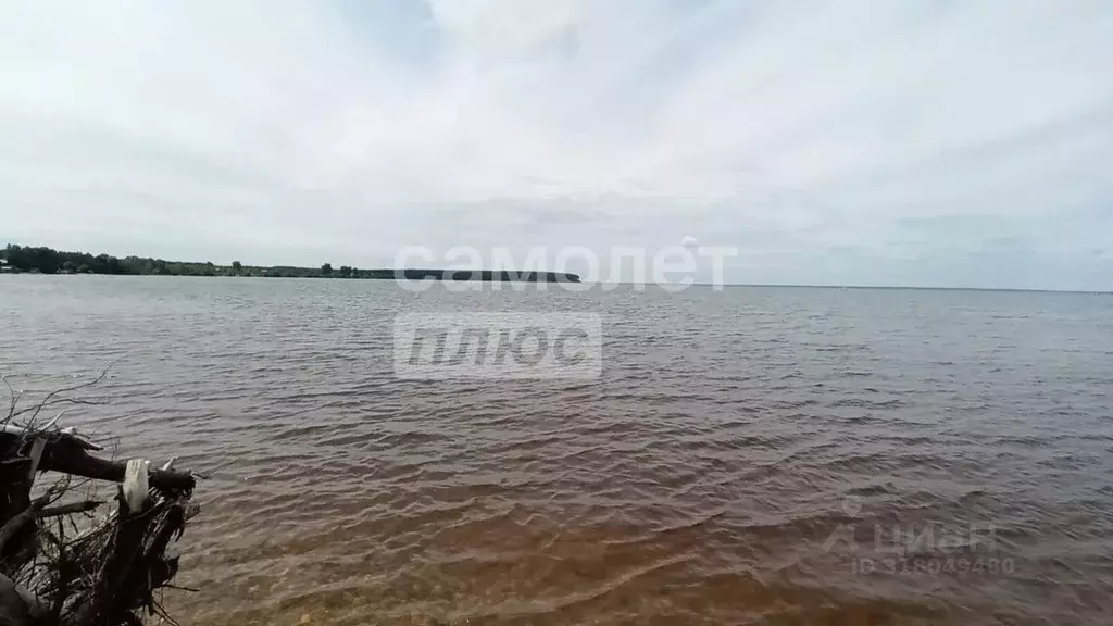 Участок в Нижегородская область, Сокольский муниципальный округ, д. ... - Фото 1