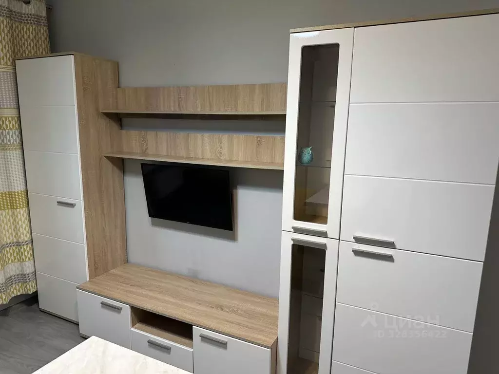 Студия Москва Ботаническая ул., 33Вс1 (18.3 м) - Фото 2