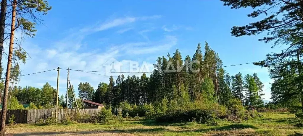 Участок в Бурятия, Баргузинский район, с. Макаринино (Башарово) ул. ... - Фото 0