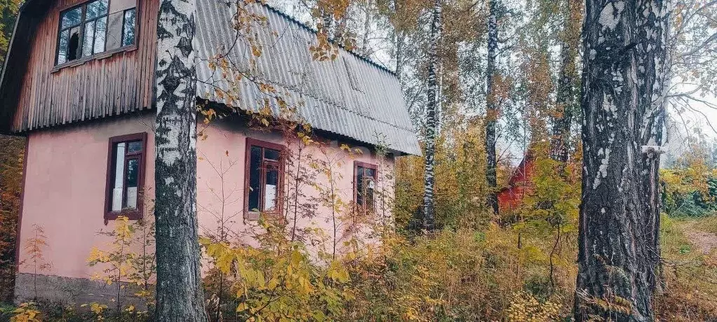 Участок в Новосибирская область, Новосибирский район, Барышевский ... - Фото 1