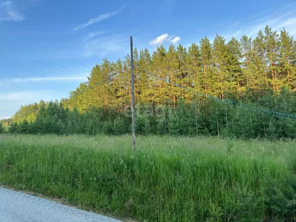 Участок в Свердловская область, Сысертский муниципальный округ, СНТ ... - Фото 1