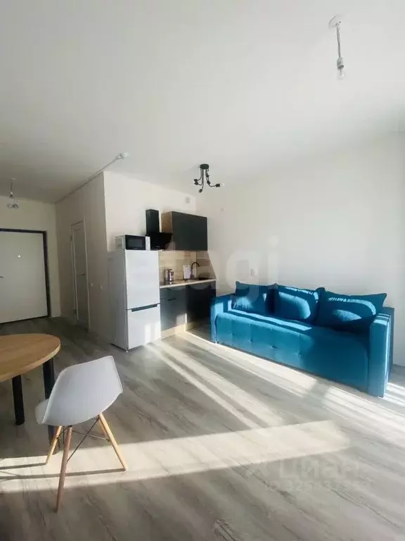 Студия Ленинградская область, Всеволожский район, пос. Бугры ул. ... - Фото 1