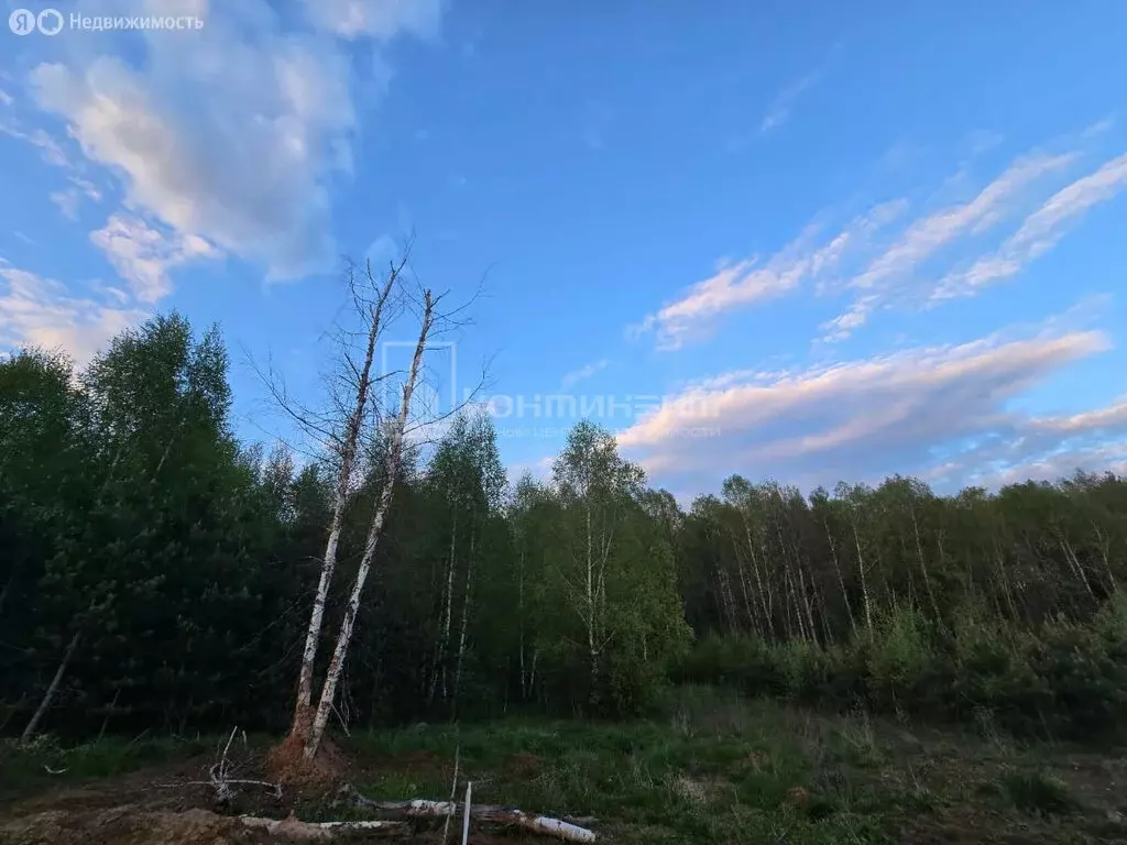 Участок в посёлок Доброград, Сосновая улица, 13 (14.5 м) - Фото 1