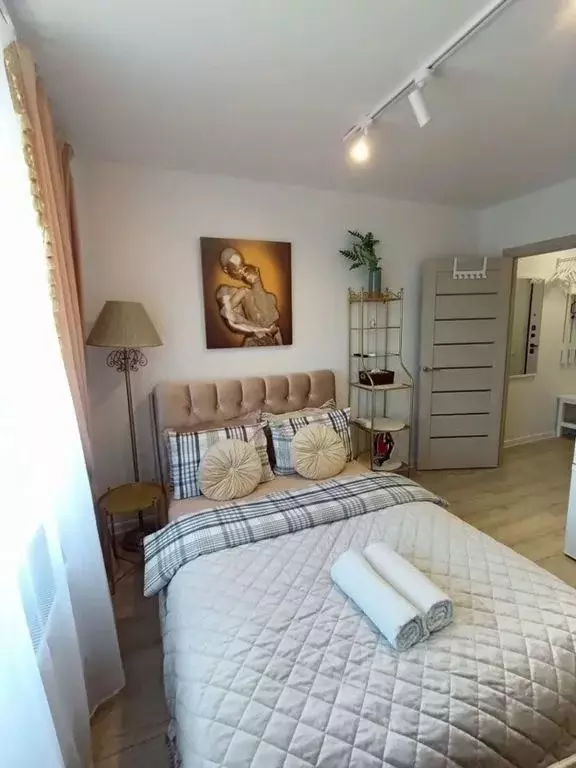 Студия Московская область, Люберцы ул. Солнечная, 6 (20.0 м) - Фото 2