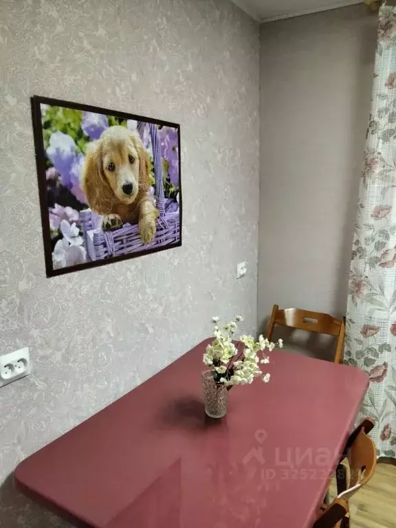 1-к кв. Санкт-Петербург, Санкт-Петербург, Красное Село ул. ... - Фото 1