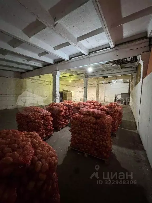 Помещение свободного назначения в Новосибирская область, Новосибирск ... - Фото 2