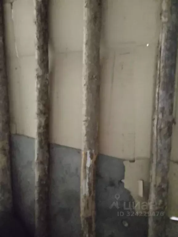 Помещение свободного назначения в Челябинская область, Уйский ... - Фото 1