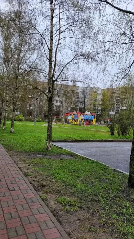 3-комнатная квартира: Красное Село, Бронетанковая улица, 11к1 (61.9 м) - Фото 0