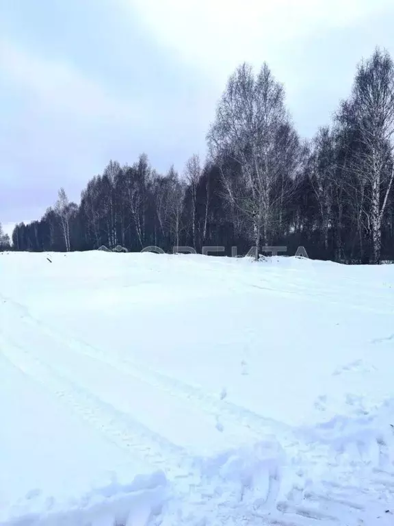 Участок в Тюменская область, Нижнетавдинский муниципальный округ, ... - Фото 2