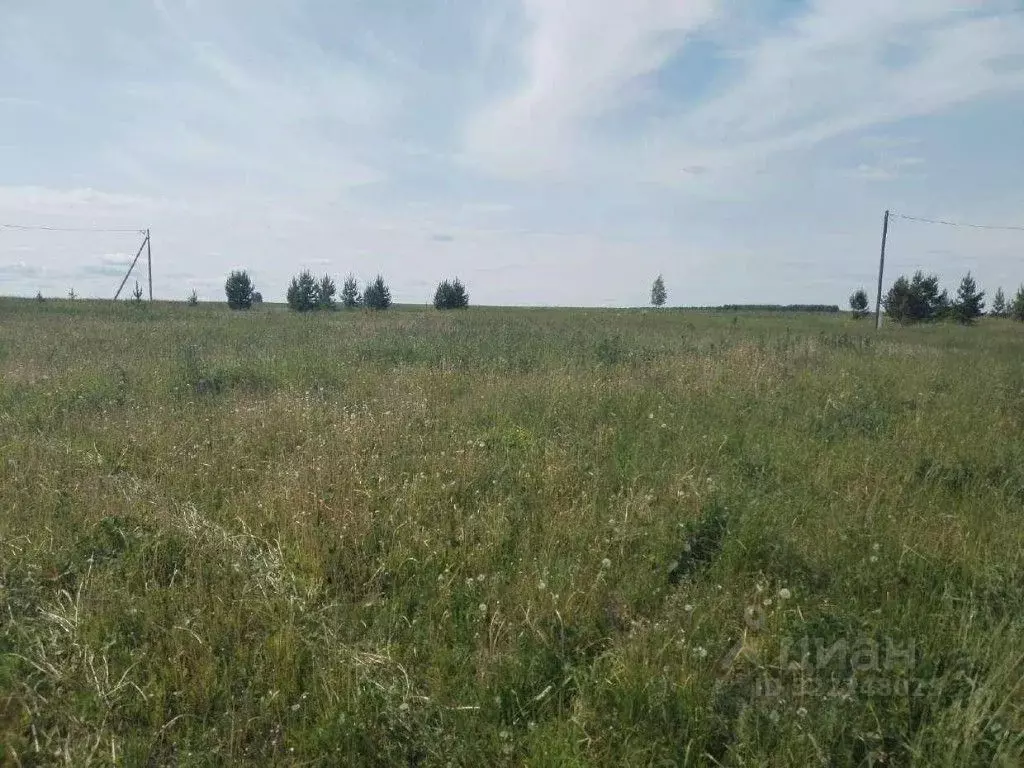 Участок в Свердловская область, Ачит пгт ул. Береговая (11.39 сот.) - Фото 2