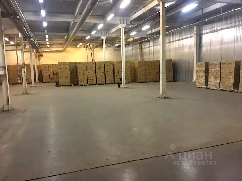 Производственное помещение в Тамбовская область, Моршанск Первомайская ... - Фото 2