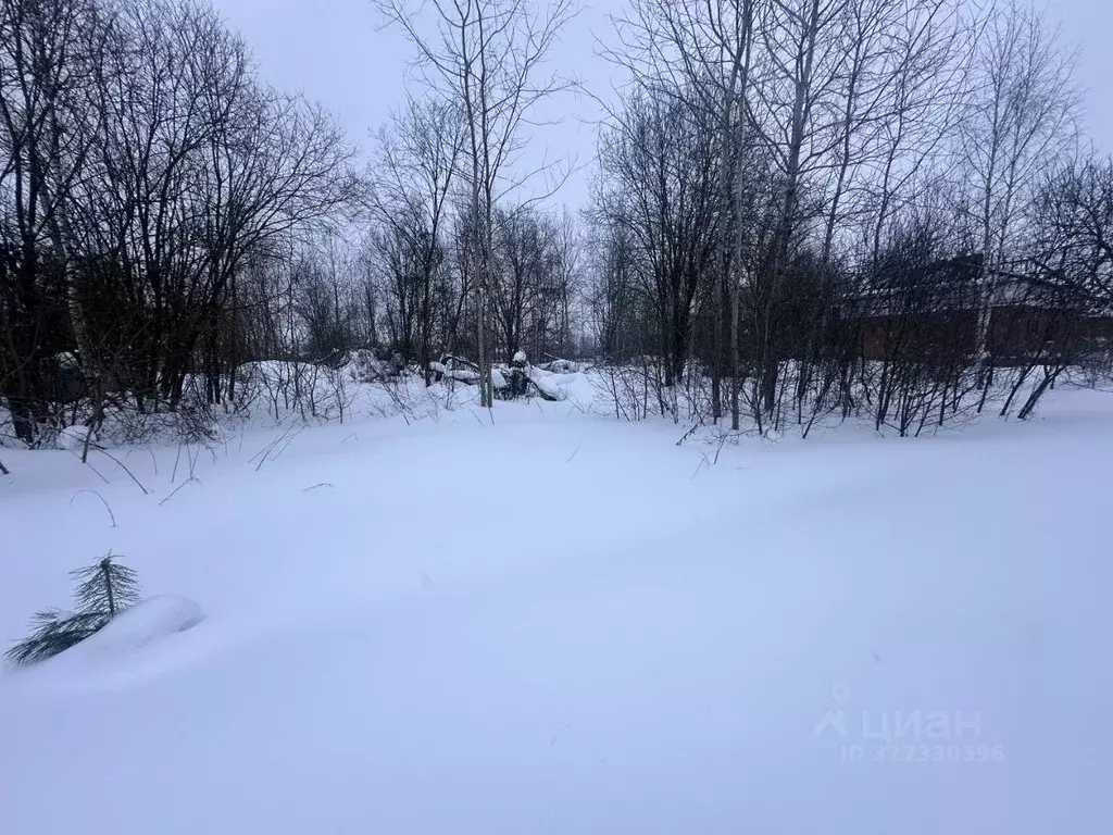 Участок в Московская область, Богородский городской округ, д. ... - Фото 2