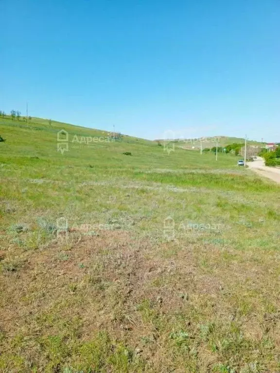 Участок в Волгоградская область, Городищенский район, ... - Фото 1