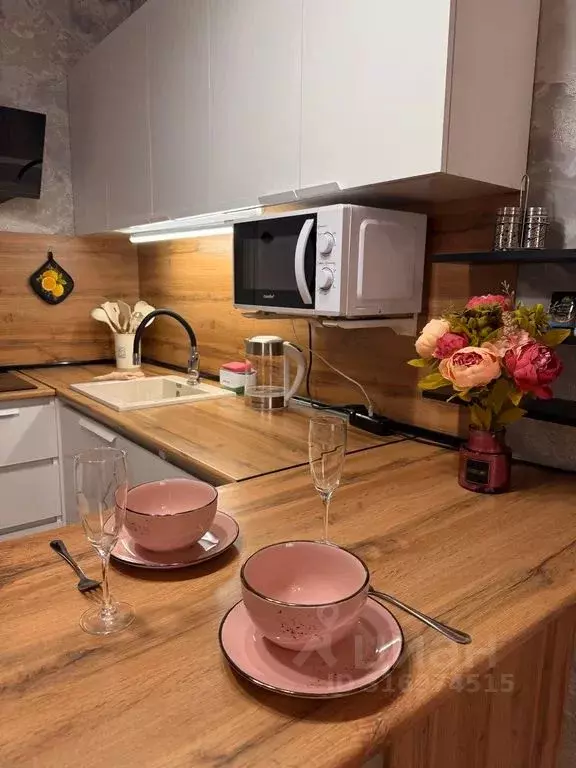 Студия Крым, Симферополь ул. Беспалова, 110К (24.0 м) - Фото 2