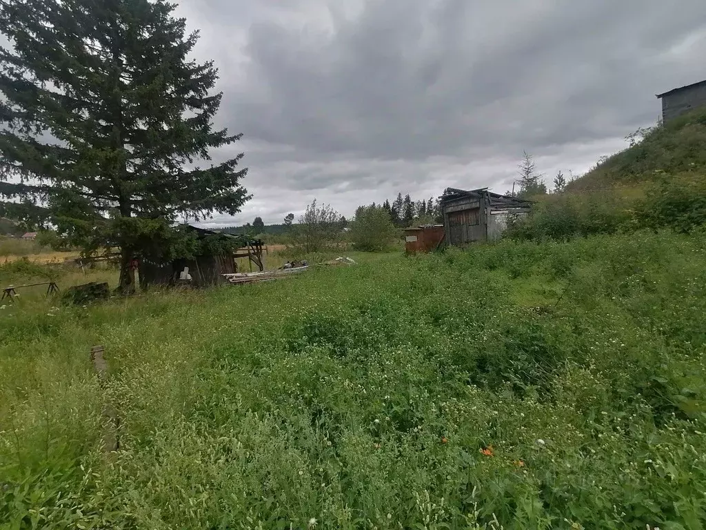 Участок в Иркутская область, Усть-Илимский муниципальный округ, пос. ... - Фото 1