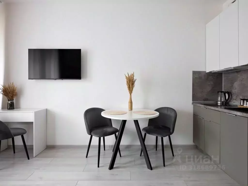 1-к кв. Санкт-Петербург Фарфоровская ул., 3к2 (26.0 м) - Фото 2