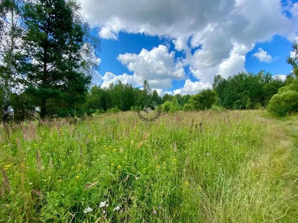 Участок в Калужская область, Перемышльский район, Большие Козлы с/пос, ... - Фото 1