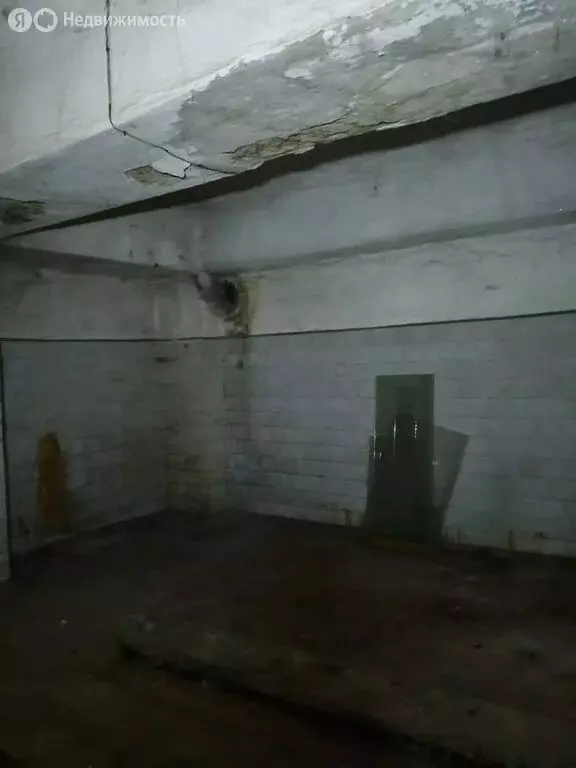 Помещение свободного назначения (235.6 м) - Фото 1