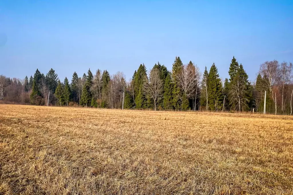 Участок в Московская область, Дмитровский муниципальный округ, ... - Фото 1