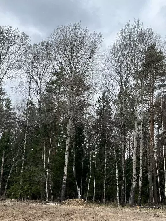 Участок 8 сот. (ИЖС) - Фото 0
