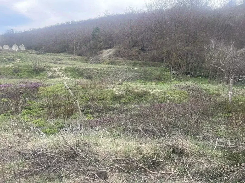 Участок в Севастополь с. Верхнесадовое,  (4.0 сот.) - Фото 1