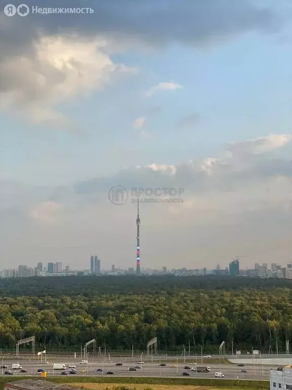Квартира-студия: Москва, Сигнальный проезд, 16к1 (20 м) - Фото 1