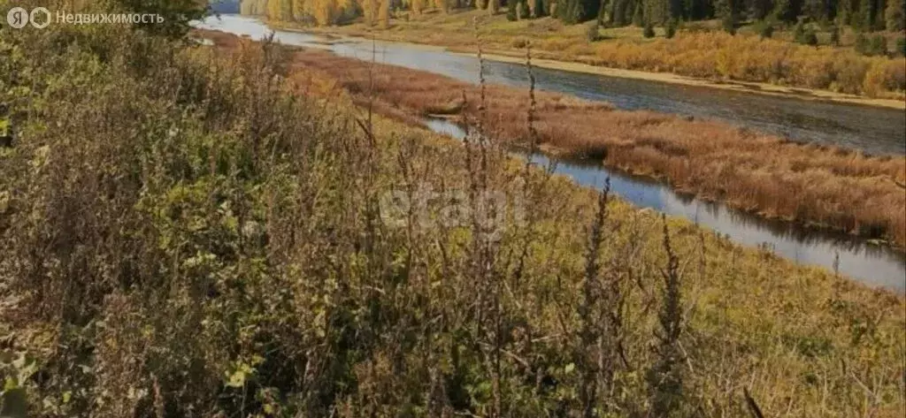 Участок в Свердловская область, городской округ Нижний Тагил, село ... - Фото 1