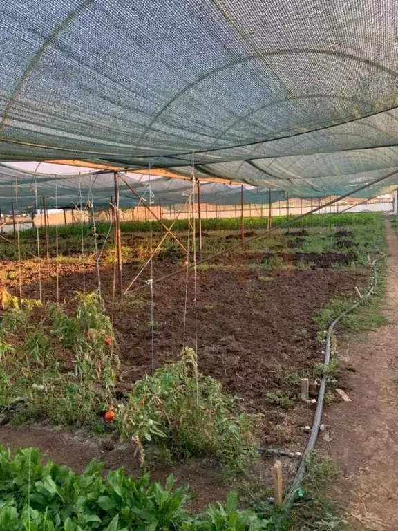 Дом в Крым, Сакский район, Крайненское с/пос, с. Трудовое ул. ... - Фото 2