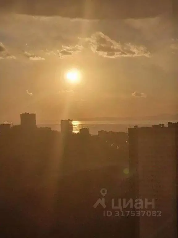 1-к кв. Приморский край, Владивосток ул. Полковника Фесюна, 16 (46.0 ... - Фото 0