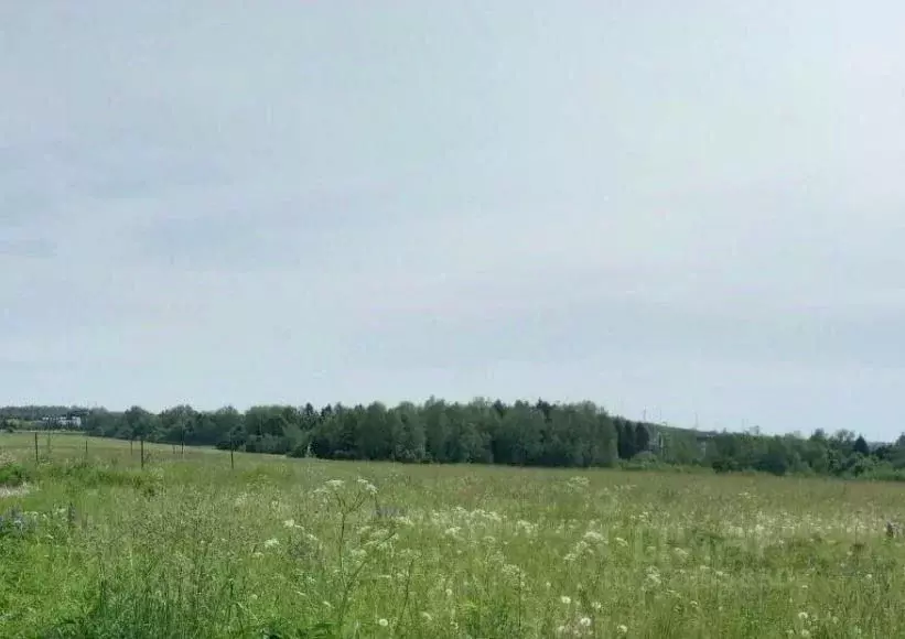 Участок в Московская область, Дмитровский муниципальный округ, д. ... - Фото 0
