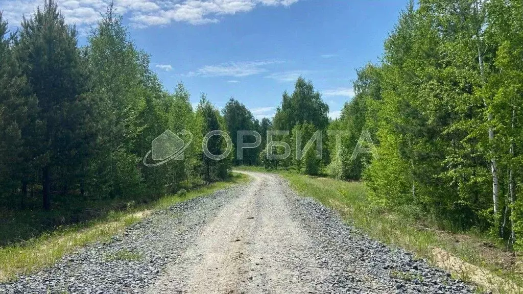 Участок в Тюменская область, Тюменский район, Новокаменский кп ул. ... - Фото 1