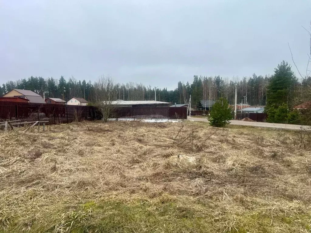 Участок в Ленинградская область, Приозерский район, Сосновское с/пос, ... - Фото 2