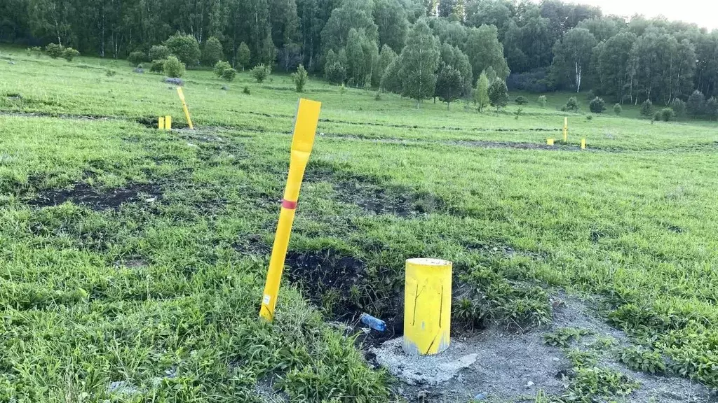 Участок в Алтай, Майминский район, с. Бирюля ул. Таркольская (7.4 ... - Фото 1