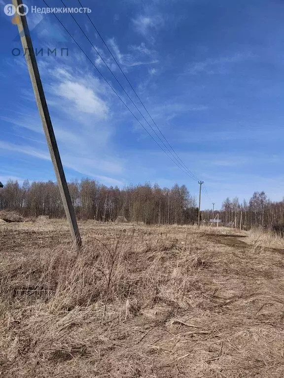 Участок в Вологодский муниципальный округ, посёлок Грибково (12 м) - Фото 1