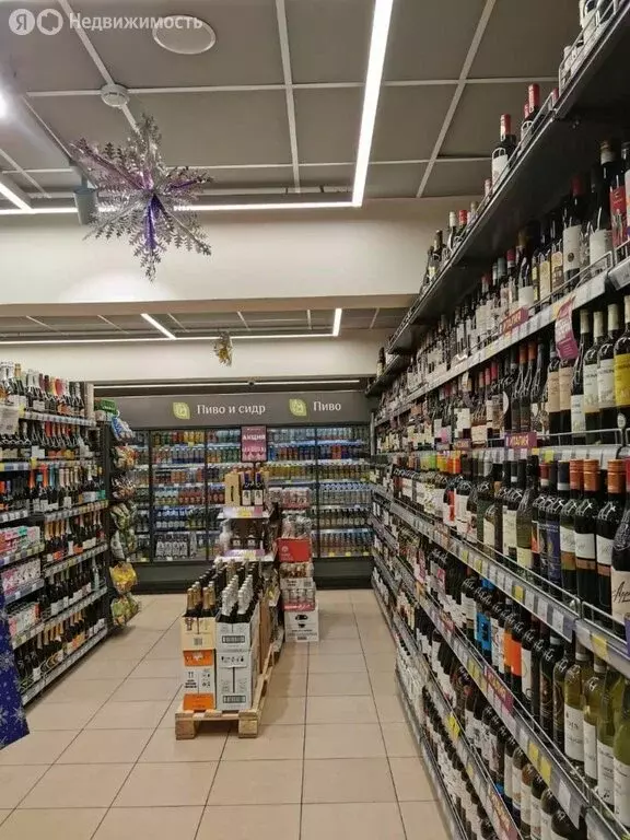 Помещение свободного назначения (320 м) - Фото 2