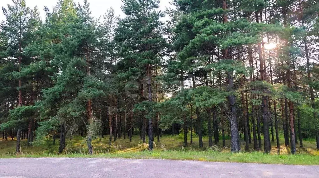 Участок в Ярославская область, Ярославский муниципальный округ, ... - Фото 2