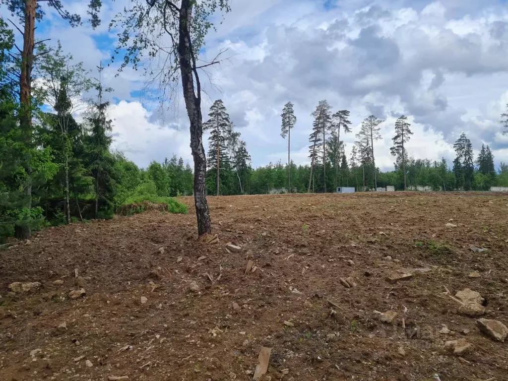 Участок в Московская область, Красногорск городской округ, с. ... - Фото 1