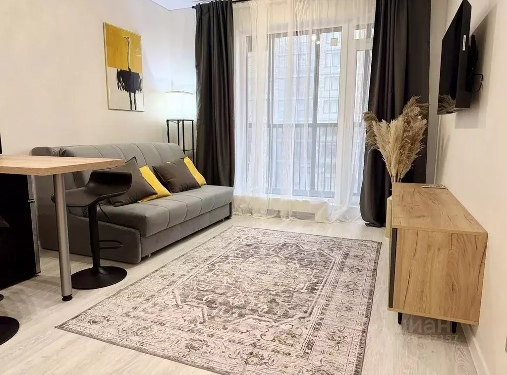 Студия Санкт-Петербург 1-й Предпортовый проезд, 1 (24.5 м) - Фото 1