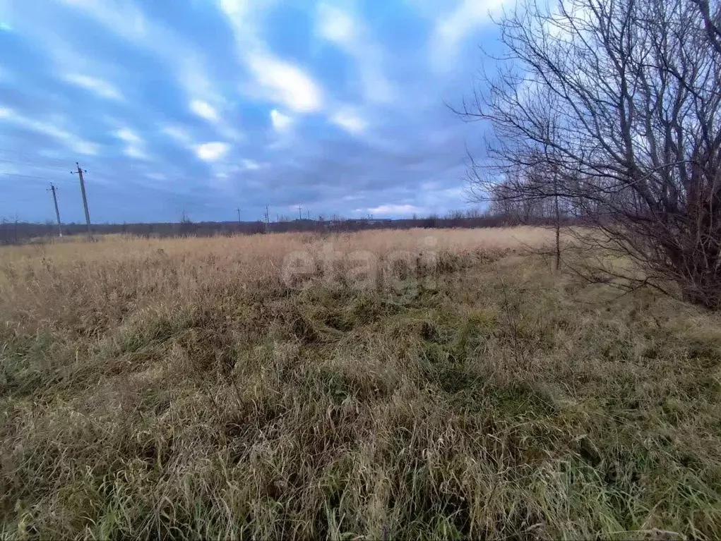Участок в Калининградская область, Гурьевский муниципальный округ, ... - Фото 2