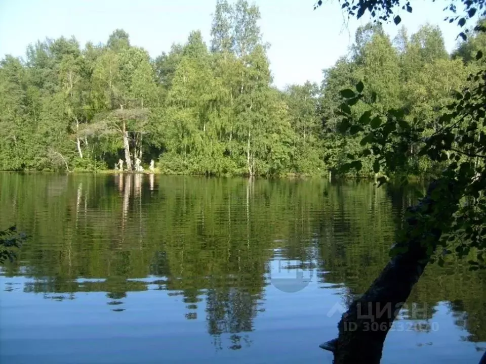 Участок в Ленинградская область, Всеволожский район, Куйвозовское ... - Фото 0