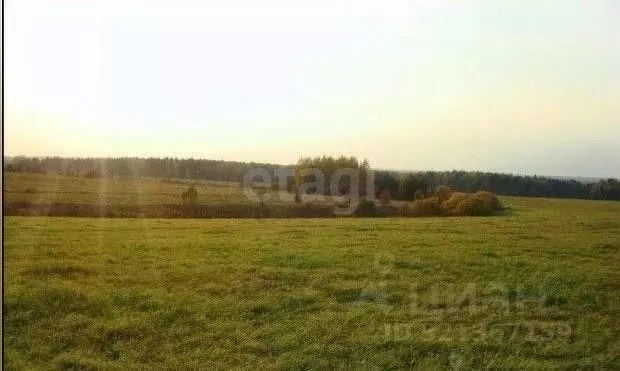 Участок в Кировская область, Киров городской округ, пос. Захарищевы  ... - Фото 0